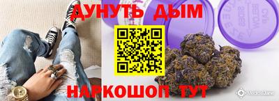 Альфа ПВП Краснознаменск