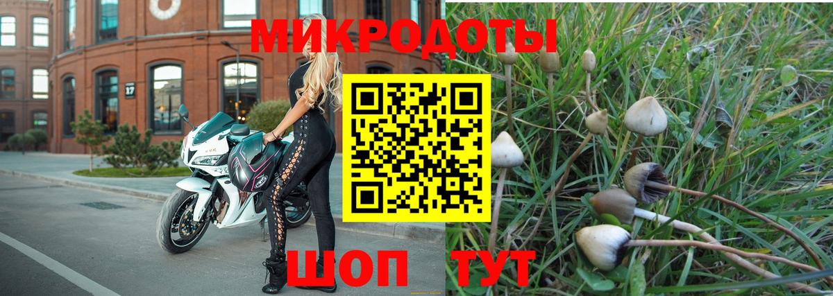 Галлюциногенные грибы прущие грибы Каменка